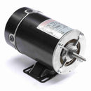 BN24V1 Century 3/4HP Pool & Spa Pump Electric Motor, 3450RPM-2
