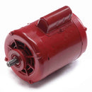 C241 Century 1/2HP Hot Water Circulator Pump Electric Motor, 1725RPM-3