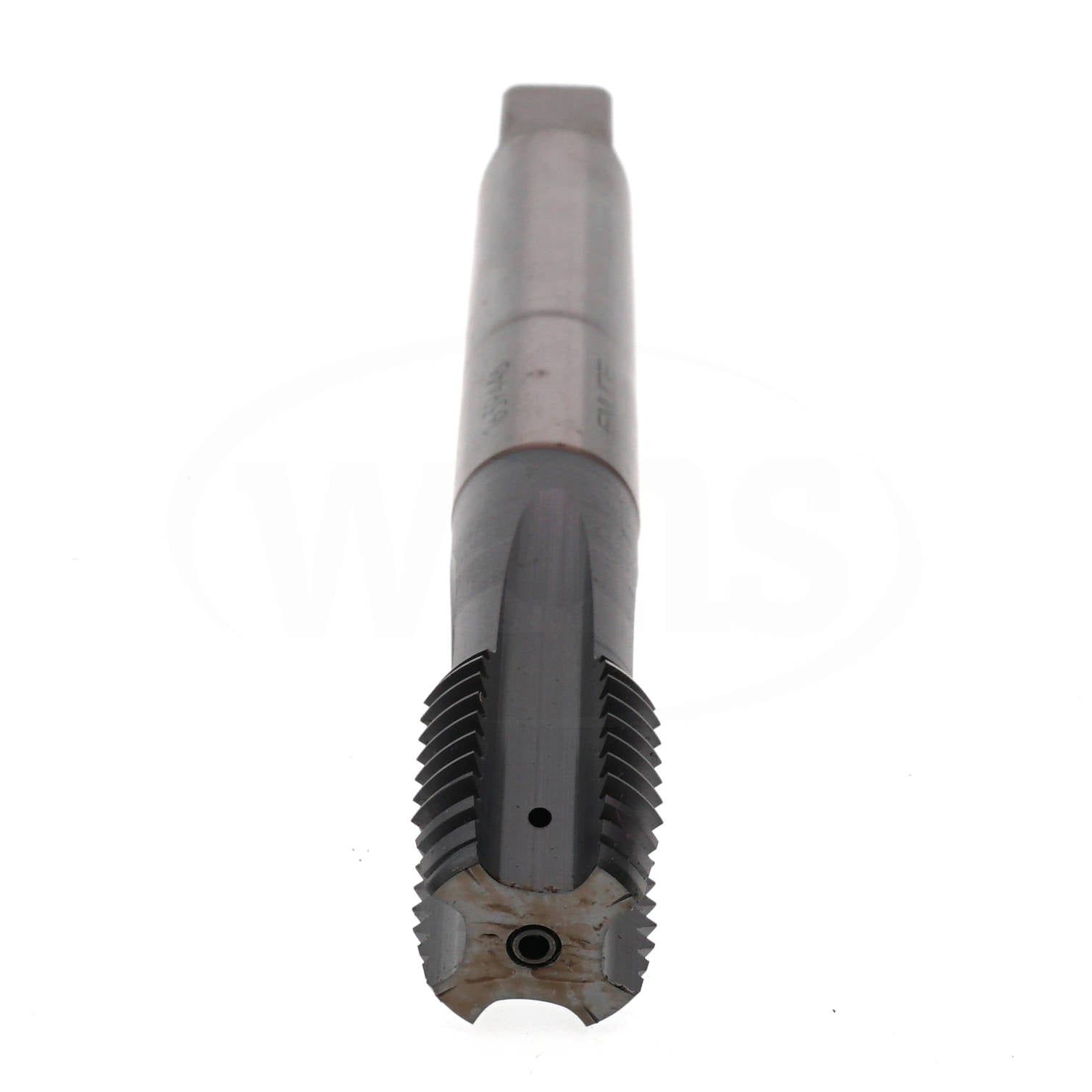 C3179401.0120 Emuge Reckord A M20-6HX Tap