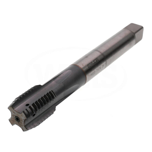 C3179401.0120 Emuge Reckord A M20-6HX Tap