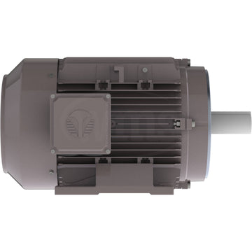 GX3-AL-TF-213TC-6-B-D-3 Techtop 3HP Electric Motor, 1200RPM