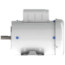 CWDL3514 Baldor 1.5HP Washdown Electric Motor, 1725RPM-6