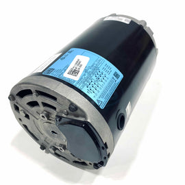 00336OS3EJPR56J-S WEG 3HP Jet Pump Electric Motor, 3600RPM