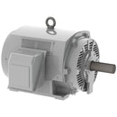 DHP2504 Teco-Westinghouse 250HP Cast Iron Electric Motor, 1800 RPM-2