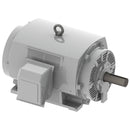 DHP2506 Teco-Westinghouse 250HP Cast Iron Electric Motor, 1200 RPM-1
