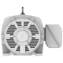 DHP2506R Teco-Westinghouse 250HP Cast Iron Electric Motor, 1200 RPM-2