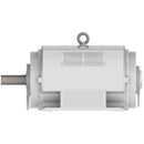 DHP2506R Teco-Westinghouse 250HP Cast Iron Electric Motor, 1200 RPM-9