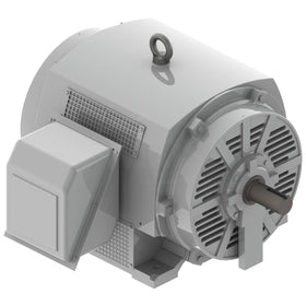 DHP3002 Teco-Westinghouse 300HP Cast Iron Electric Motor, 3600 RPM