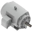 DHP3004 Teco-Westinghouse 300HP Cast Iron Electric Motor, 1800 RPM-9
