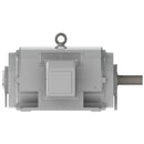 DHP3004 Teco-Westinghouse 300HP Cast Iron Electric Motor, 1800 RPM-2