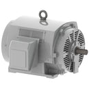 DHP3502 Teco-Westinghouse 350HP Cast Iron Electric Motor, 3600 RPM-2