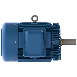 HB1004 Teco-Westinghouse 100 HP IEEE 841 Severe Duty Electric Motor, 1800 RPM