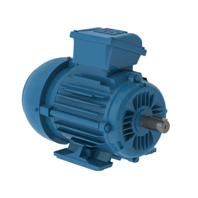 E0.7512ET3WAXL90SF3W WEG 0.75kW(1HP) Electric Motor, 1000RPM