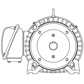 EP0036C Teco-Westinghouse 3HP Cast Iron Electric Motor, 1200RPM