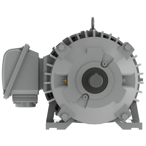 EP00185 Teco-Westinghouse 1HP Cast Iron Electric Motor, 900 RPM