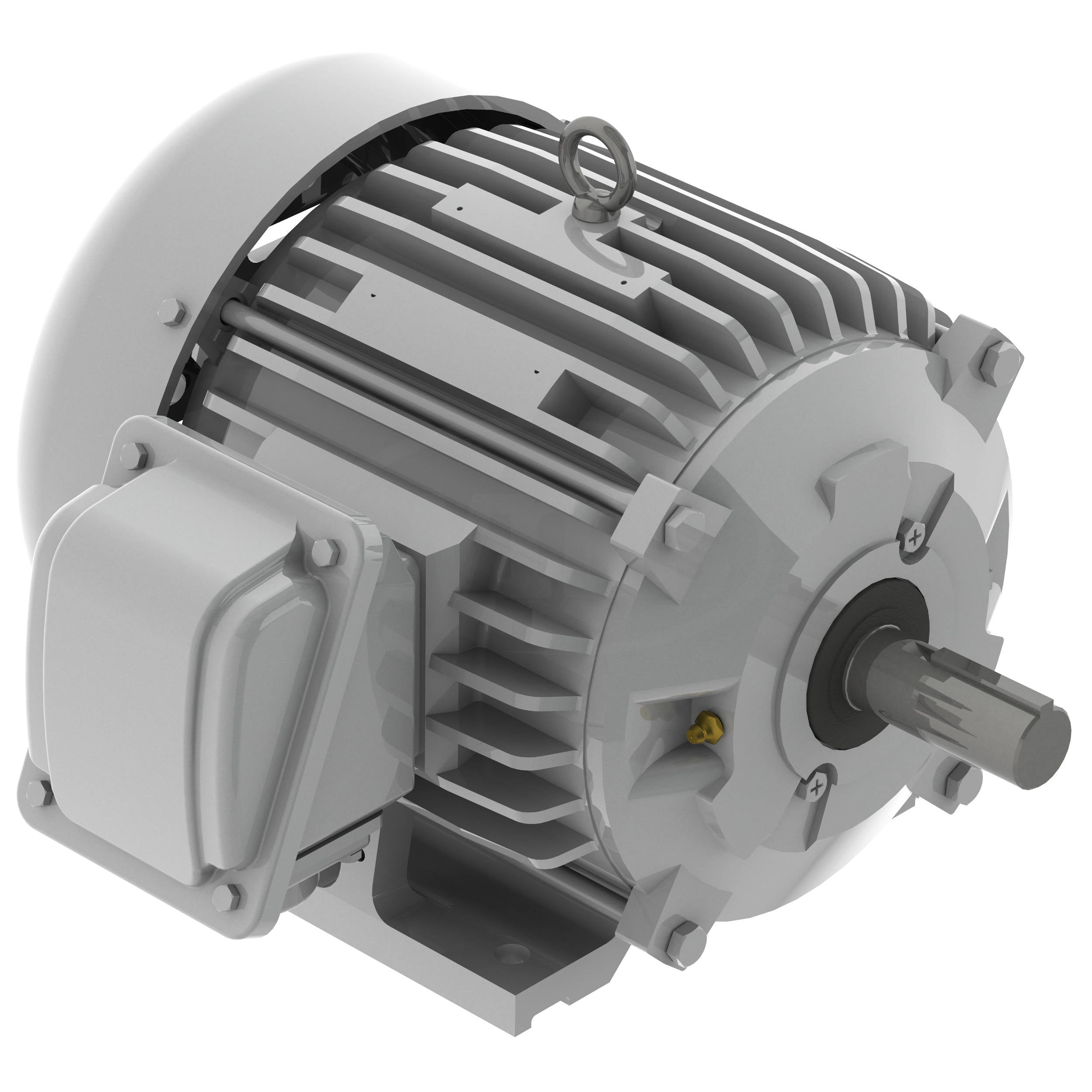 EP0018 Teco-Westinghouse 1HP Cast Iron Electric Motor, 900 RPM