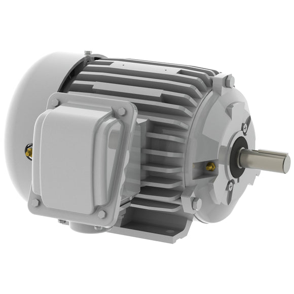 EP00225 Teco-Westinghouse 2HP Cast Iron Electric Motor, 3600 RPM