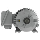 EP00225 Teco-Westinghouse 2HP Cast Iron Electric Motor, 3600 RPM-5