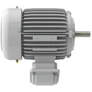 EP00225 Teco-Westinghouse 2HP Cast Iron Electric Motor, 3600 RPM-2