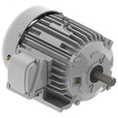 EP00265 Teco-Westinghous 2 HP Cast Iron Electric Motor, 1200 RPM-1