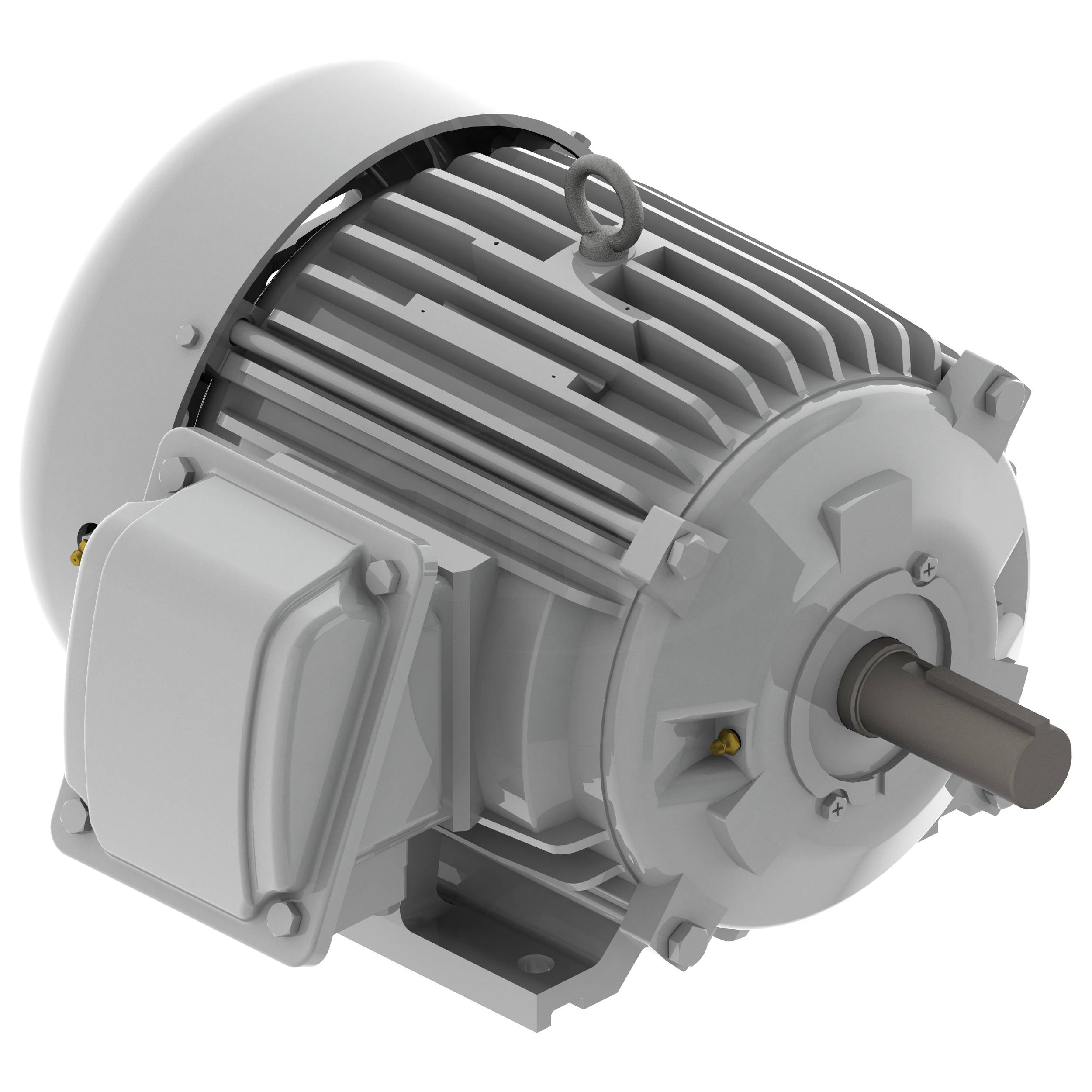 EP0028 Teco-Westinghouse 2 HP Cast Iron Electric Motor, 900RPM