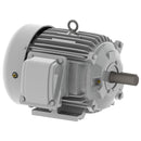 EP0028 Teco-Westinghouse 2 HP Cast Iron Electric Motor, 900RPM-6