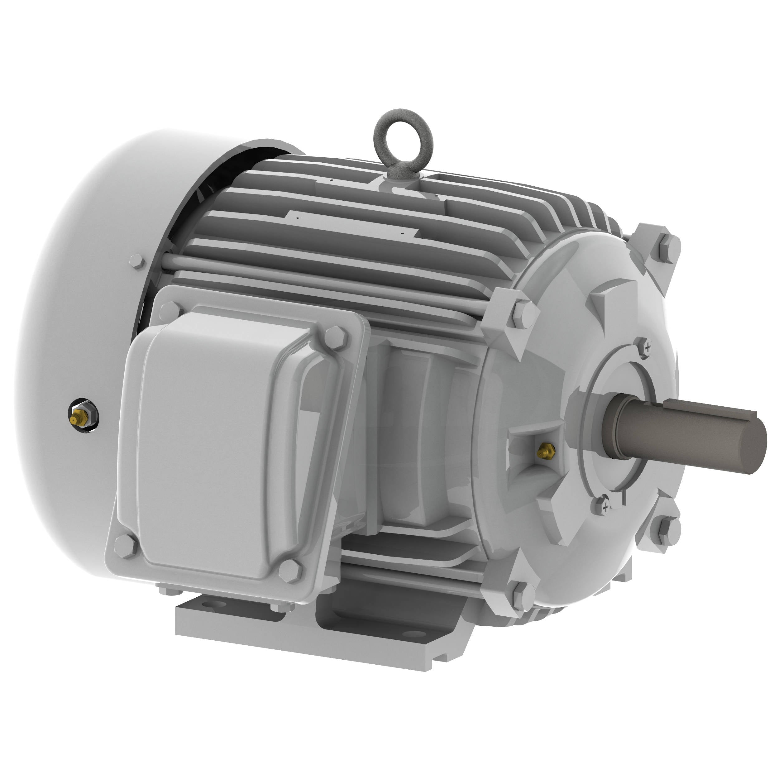 EP0028 Teco-Westinghouse 2 HP Cast Iron Electric Motor, 900RPM