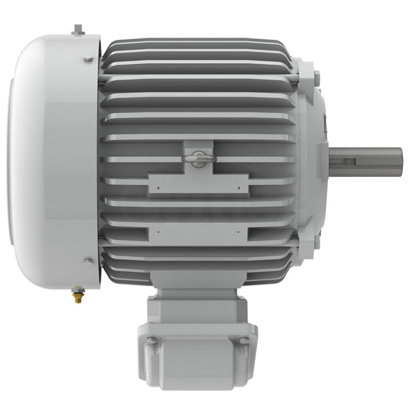 EP00325 Teco-Westinghouse 3HP Cast Iron Electric Motor, 3600 RPM