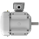 EP00325 Teco-Westinghouse 3HP Cast Iron Electric Motor, 3600 RPM-3