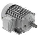 EP00385 Teco-Westinghous 3HP Cast Iron Electric Motor, 900 RPM-1