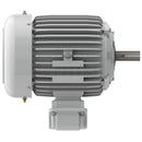 EP00545 Teco-Westinghouse 5HP Cast Iron Electric Motor, 1800 RPM-7