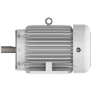 EP0056C Teco-Westinghouse 5HP Cast Iron Electric Motor, 1200 RPM-4