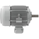 EP00585 Teco-Westinghouse 5HP Cast Iron Electric Motor, 900 RPM-6