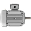 EP01025 Teco-Westinghouse 10HP Cast Iron Electric Motor, 3600 RPM-2