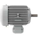 EP01025 Teco-Westinghouse 10HP Cast Iron Electric Motor, 3600 RPM-4