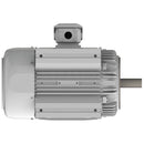 EP0206C Teco-Westinghouse 20HP Cast Iron Electric Motor, 1200 RPM-2