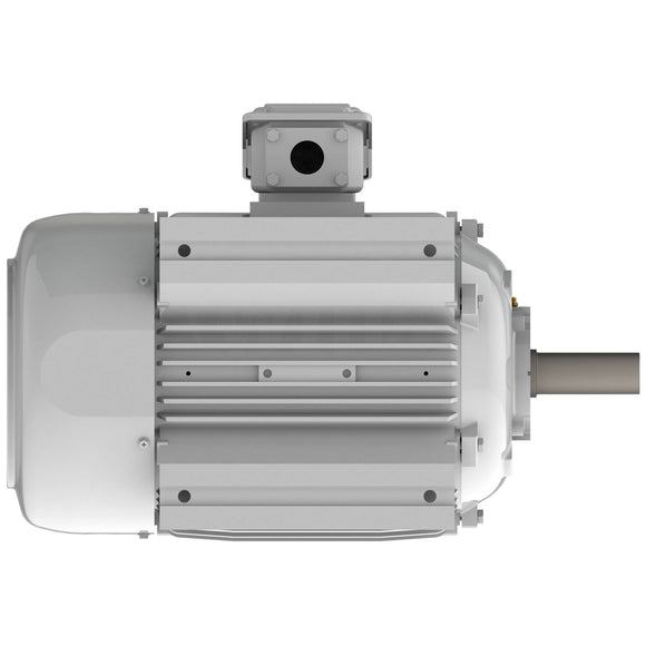 EP0206 Teco-Westinghouse 20 HP Cast Iron Electric Motor, 1200 RPM