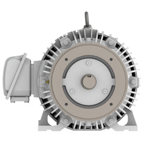 EP0254C Teco-Westinghouse 25 HP Cast Iron Electric Motor, 1800 RPM - 0