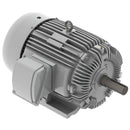 EP02585 Teco-Westinghous 25 HP Cast Iron Electric Motor, 900 RPM-1