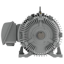 EP02585 Teco-Westinghous 25 HP Cast Iron Electric Motor, 900 RPM-4
