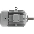 EP0304 30HP Teco-Westinghouse Cast Iron Electric Motor, 1800 RPM-2