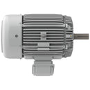 EP0306 Teco-Westinghouse 30 HP Cast Iron Electric Motor, 1200 RPM-5