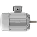 EP0306 Teco-Westinghouse 30 HP Cast Iron Electric Motor, 1200 RPM-4