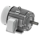 EP0308 Teco-Westinghouse 30 HP Cast Iron Electric Motor, 900 RPM-1