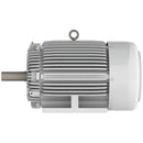 EP0504 Teco-Westinghouse 50 HP Cast Iron Electric Motor, 1800 RPM-4