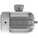 EP0506C Teco-Westinghouse 50HP Cast Iron Electric Motor, 1200 RPM-3