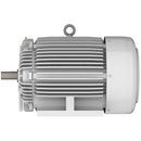 EP0506R Teco-Westinghous 50 HP Cast Iron Electric Motor, 1200 RPM-6