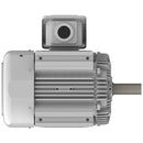 EP0508 Teco-Westinghous 50 HP Cast Iron Electric Motor, 900 RPM-6