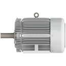 EP06065 Teco-Westinghous 60 HP Cast Iron Electric Motor, 1200 RPM-4