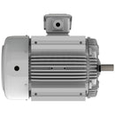 EP07545 Teco-Westinghous 75 HP Cast Iron Electric Motor, 1800 RPM-3